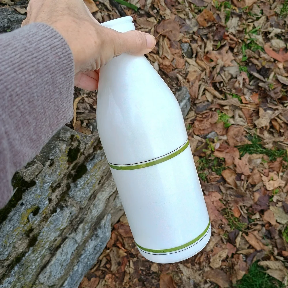 VTG Eqizia white glass quart size milk bottle, bird decor, whimsical decor